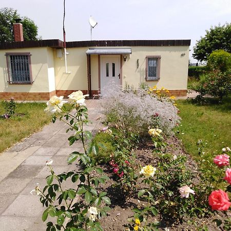 Ferienhaus Kaiserfelder Olbersdorf Extérieur photo